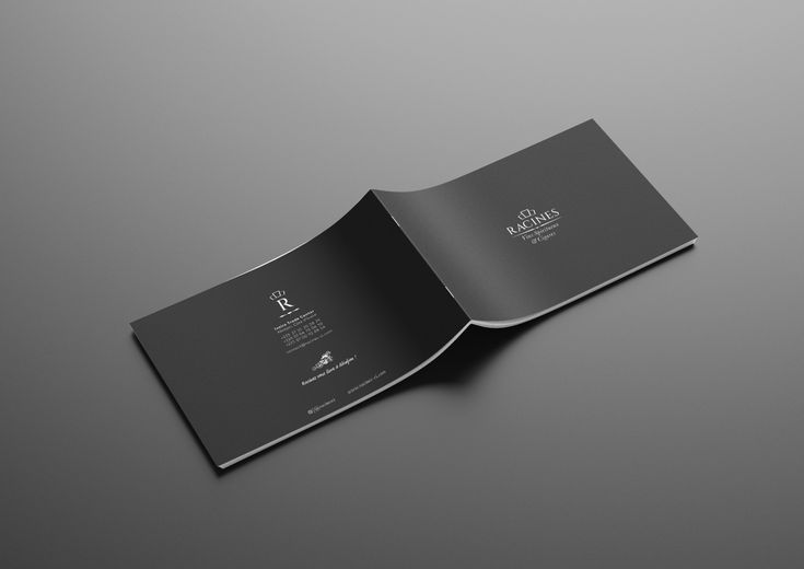 Flyers sample 1